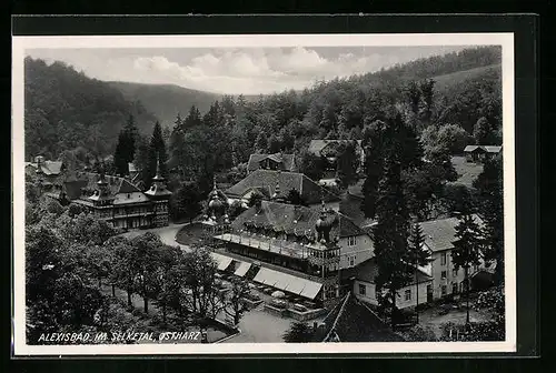 AK Alexisbad /Harz, Ortspartie mit Kurhäusern