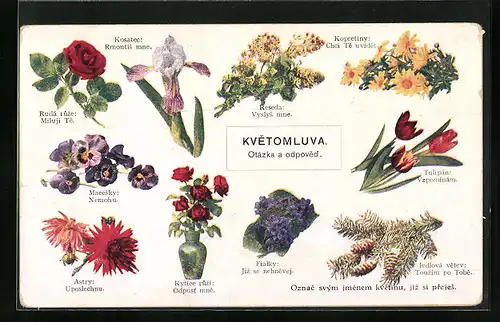 AK Blumensprache Tulpen, Veilchen, Astern