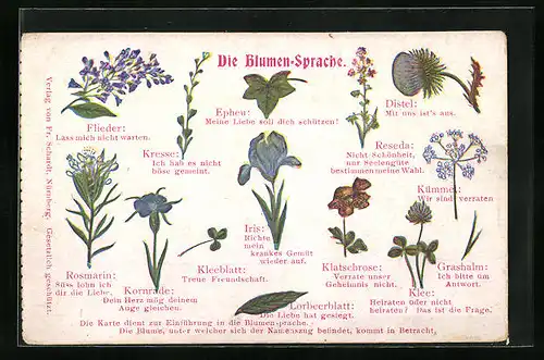 AK Blumensprache mit Epheu, Kümmel, Iris