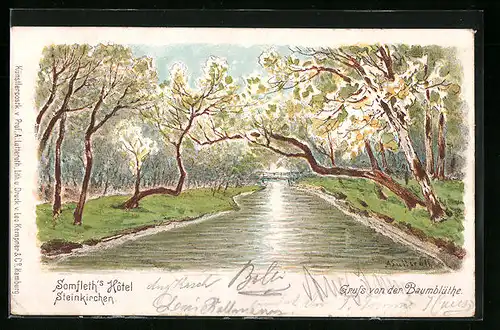 Künstler-AK Steinkirchen, Somfleth`s Hotel, am Ufer zur Baumblüte