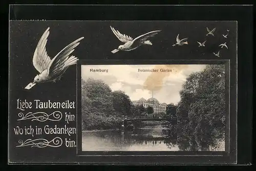 AK Hamburg-St.Pauli, Botanischer Garten mit Brücke