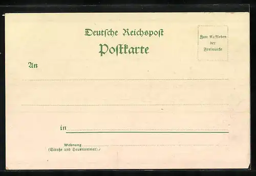 Lithographie Hamburg, Alster Panorama mit Dampfer