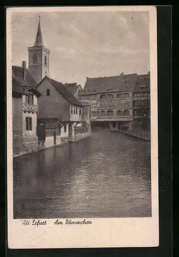 AK Alt-Erfurt, Am Dämmchen mit Häuseransichten