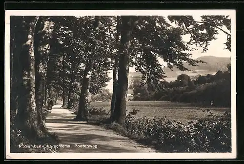 AK Oberschlema, Bäume umsäumen den Postenweg