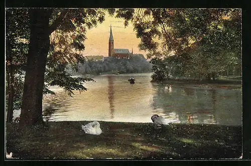 AK Chemnitz, Schwäne am Teich, Kiche