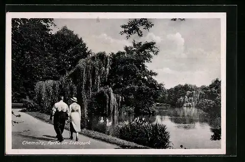 AK Chemnitz, Spaziergang im Stadtpark, Schwäne