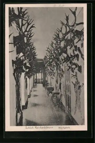 AK Friedrichroda, Schloss Reinhardsbrunn, Hirschgalerie