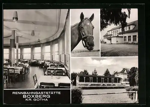 AK Boxberg /Kr. Gotha, Rennbahngaststätte - Gebäude, Speiseraum, Tribüne