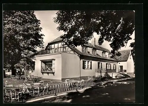 AK Wandersleben /Th., Gasthaus Freudenthal mit Terrasse