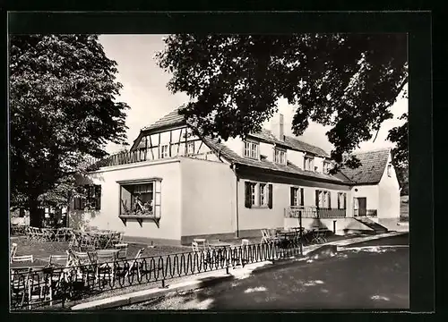 AK Wandersleben /Th., Gasthaus Freudenthal mit Terrasse