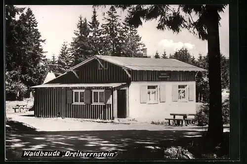 AK Dreiherrnstein, Waldbaude Dreiherrnstein (Gebäude)