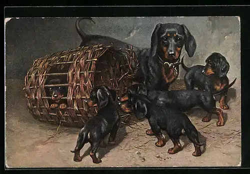 Künstler-AK Dackelmutter mit Welpen und liegendem Körbchen