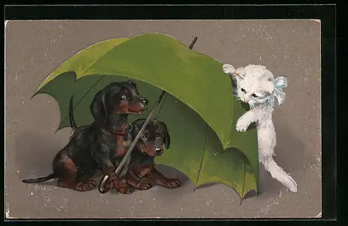 Künstler-AK Zwei junge Dackel unter liegendem Regenschirm mit weissem Kätzchen