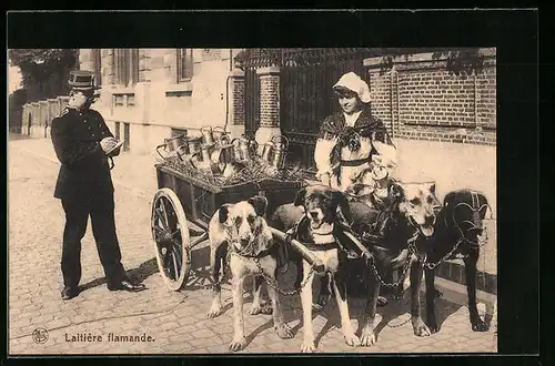 AK Laitière Flamande, Hundegespann aus vier Hunden mit Milchbäuerin, Polizist