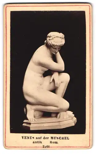 Fotografie unbekannter Fotograf und Ort, Statue Venus auf der Muschel