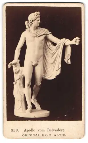 Fotografie unbekannter Fotograf und Ort, Statue: Apollo vom Belvedere, Original in Rom