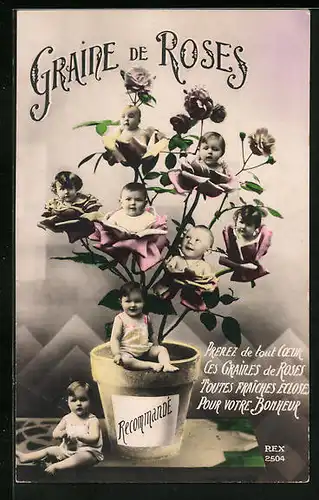 AK Kleinkinder wachsen auf Rosenstrauch