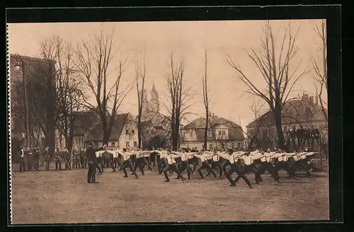 AK Meissen, St. Afra, Zwinger: Turnstunde, Freiübungen