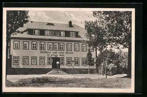 AK Hoheneiche /Thür. Wald, Gasthaus zum roten Hirsch im grünen Wald