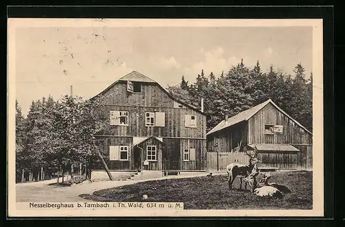 AK Tambach i. Th., Nesselberghaus mit Rotwild