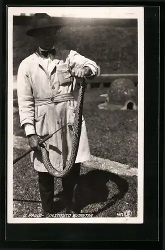 AK S. Paulo, Instituto Butantan, Mann mit Schlange in den Händen