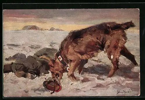 Künstler-AK Sanitätshund mit aufgespürtem Verwundeten auf Schneefeld
