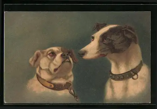 Künstler-AK Portrait einer Bulldogge und eines weiteren Hundes