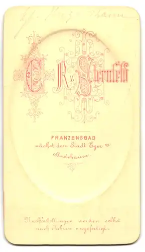 Fotografie C. R. v. Sternfeld, Franzensbad, Portrait Graf Hugo von Abensperg und Traun, öster. Hofbeamter und Diplomat