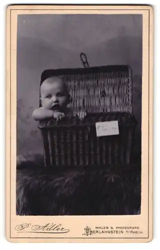Fotografie P. Adler, Oberlahnstein, Portrait niedliches Baby schaut aus einem Weidenkorb