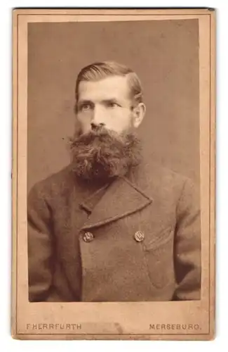 Fotografie F. Herrfurth, Merseburg, Brühl 4, Portrait Herr im Anzug mit buschigem Vollbart