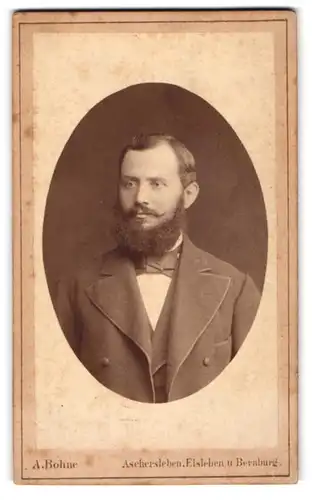 Fotografie A. Bohne, Aschersleben, Portrait Mann im dunklen Anzug mit Fliege und Vollbart