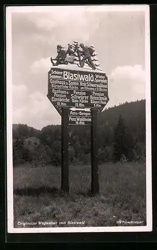 AK Origineller Wegweiser vom Blasiwald mit touristischen Zielen