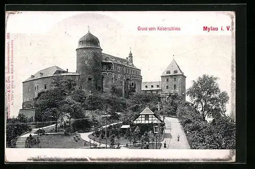 AK Mylau i. V., Strasse zum Kaiserschloss