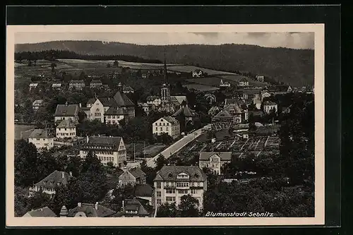 AK Sebnitz, Totalansicht mit Kirche
