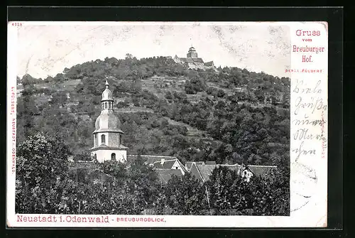 AK Neustadt /Odenw., Breuburgblick