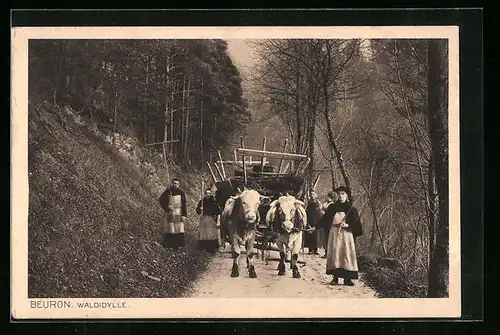 AK Beuron, Waldidylle mit Ochsengespann