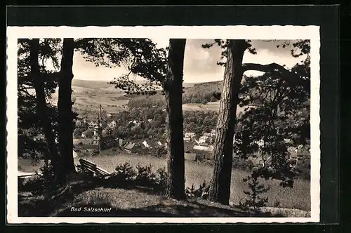 AK Bad Salzschlirf, Teilansicht mit Bäumen