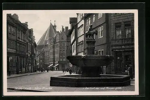 AK Halle /Saale, Strassenpartie am alten Markt