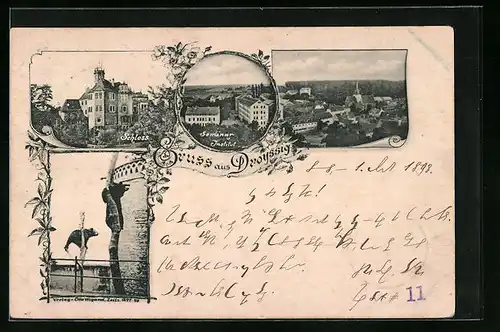 AK Droyssig, Schloss, Seminar-Institut, Totalansicht