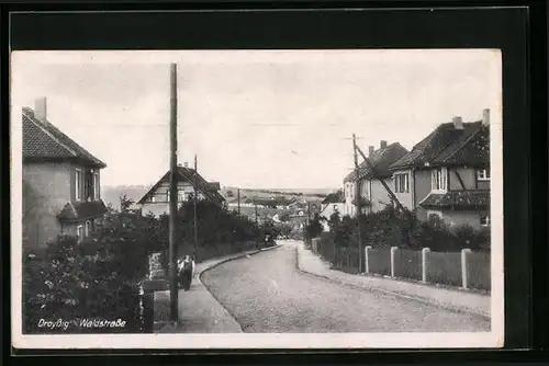 AK Droyssig, Wohnhäuser in der Waldstrasse