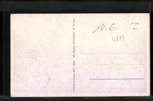 AK Droyssig, Wohnhäuser in der Waldstrasse