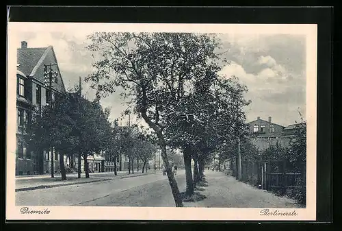 AK Diemitz, Partie der Berlinerstrasse