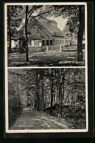 AK Droyssig, Kindergarten, Waldpartie
