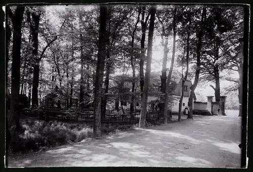 Fotografie Brück & Sohn Meissen, Ansicht Moritzburg, Restaurant zur Fasanerie mit Biergarten