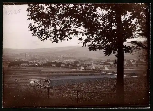 Fotografie Brück & Sohn Meissen, Ansicht Neustadt i. Sa., Panorama von der Gotzingerhöhe gesehen