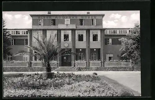 AK Bad Düben, Eingang zum Eisen-Moorbad