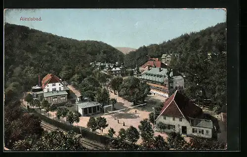 AK Alexisbad, Ortsansicht aus der Vogelschau