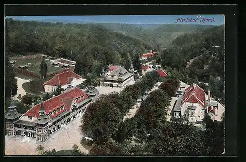 AK Alexisbad /Harz, Ortsansicht aus der Vogelschau