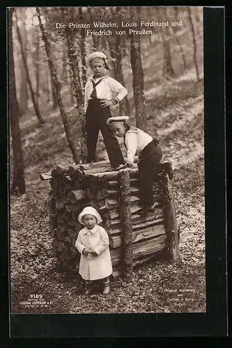 AK Die Prinzen Wilhelm, Louis Ferdinand und Friedrich von Preussen