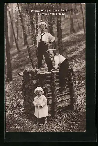 AK Die Prinzen Wilhelm, Louis Ferdinand und Friedrich von Preussen